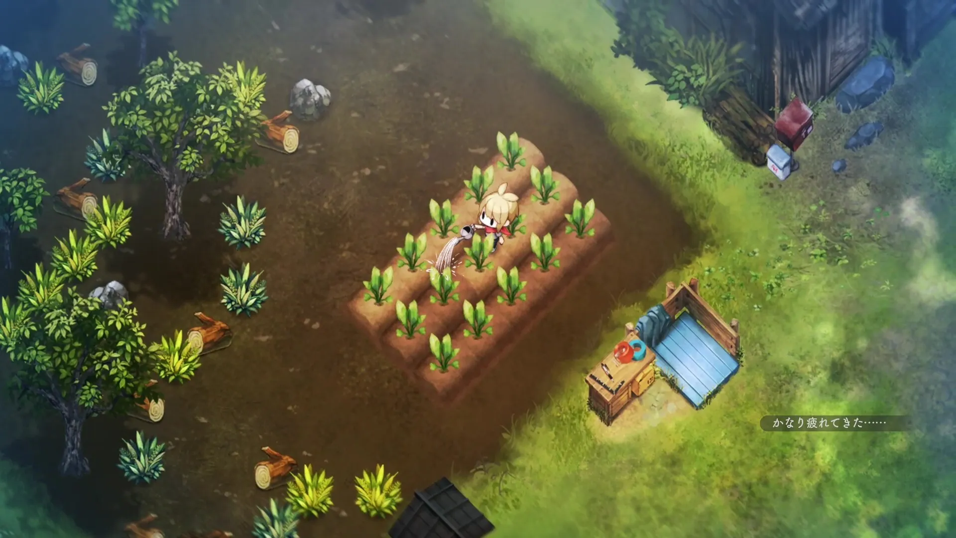 Village in the Shade Rules: Village Code and Night Exploration Guide